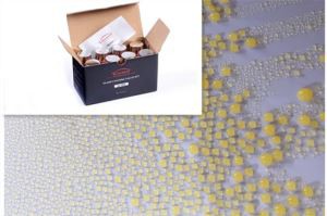 Si-901 Nano Ceramic Coating